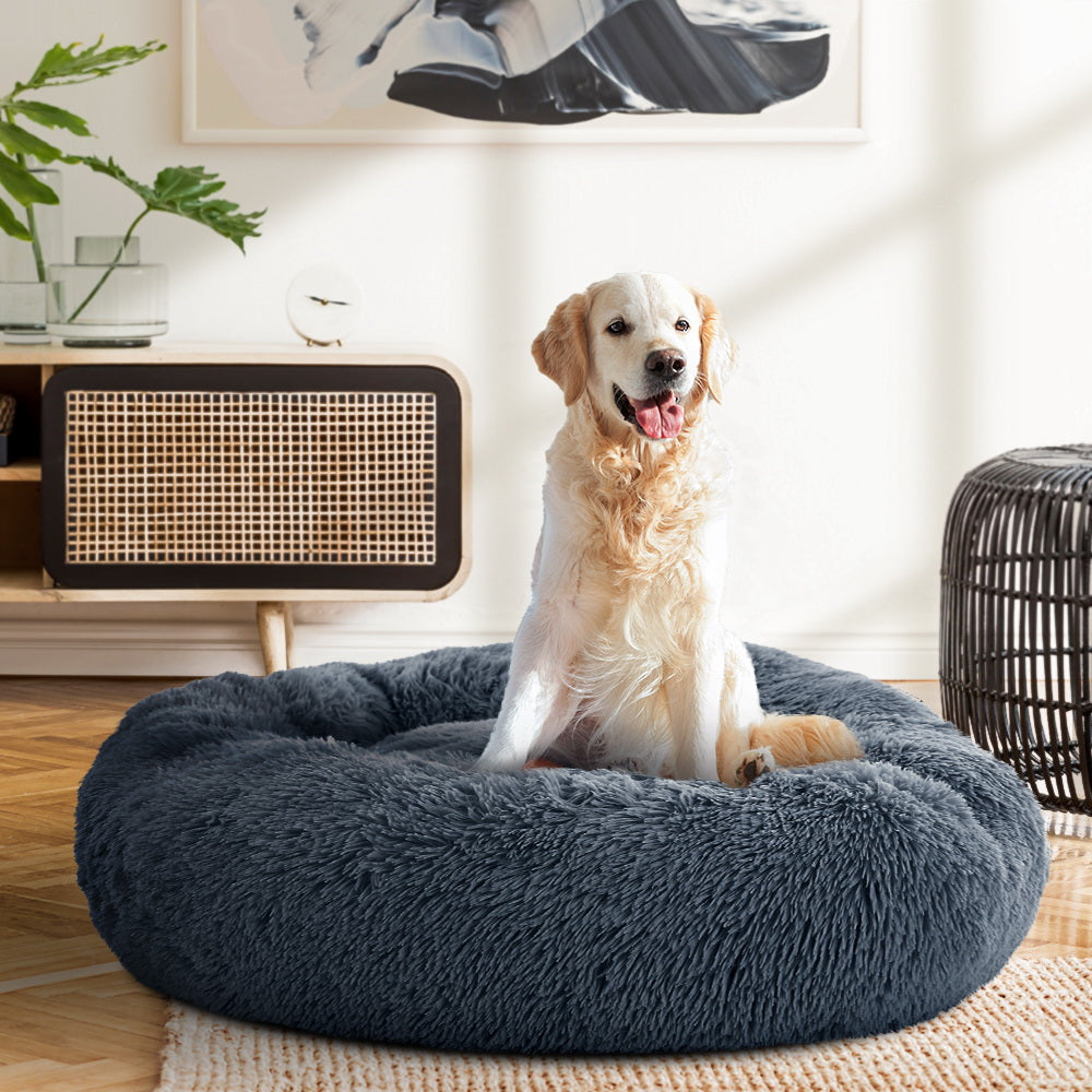 Golden retriever sitting in the dark grey Plush Calming Dog Bed in a bright living room
