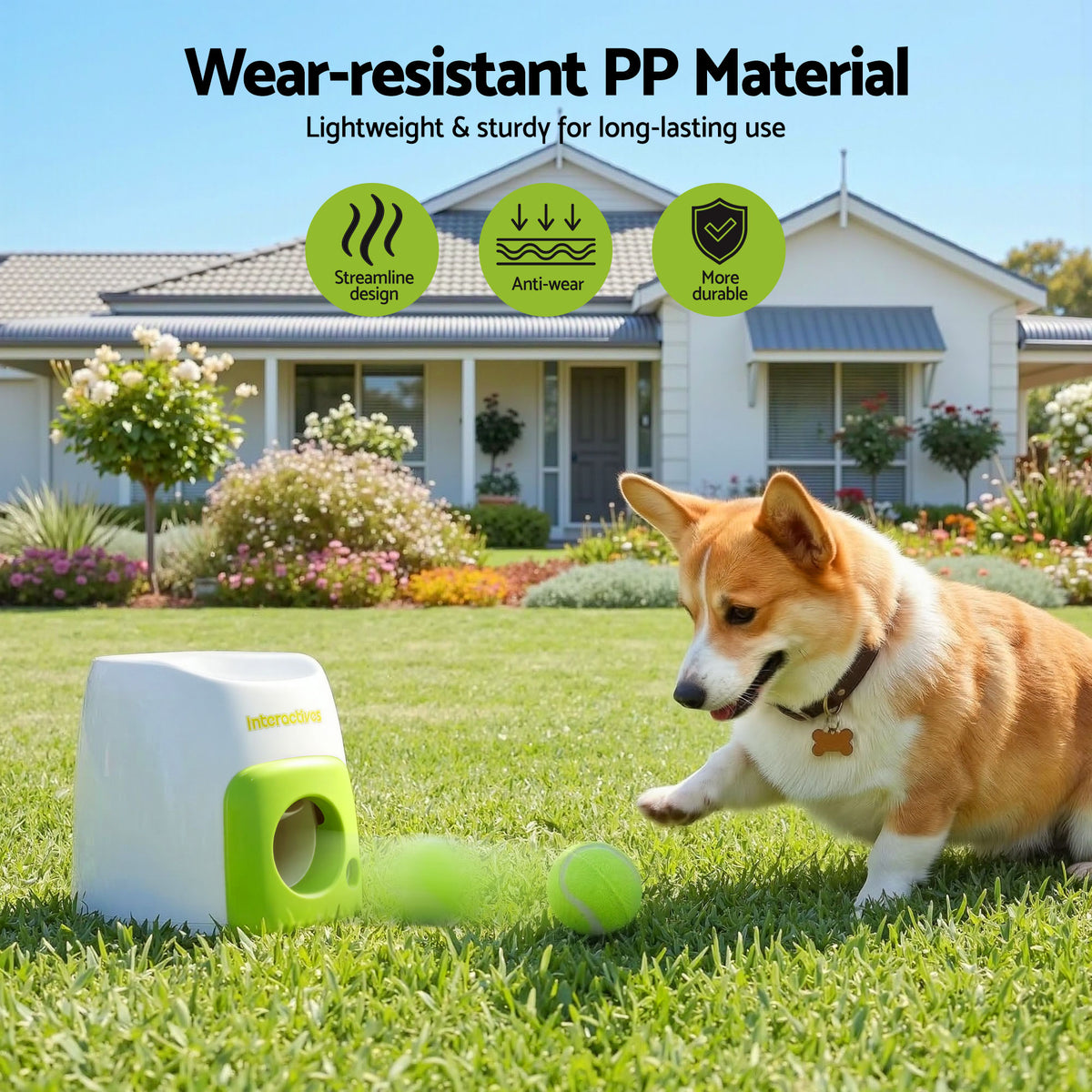 Corgi chasing a tennis ball from the Dog Ball Launcher on a front lawn