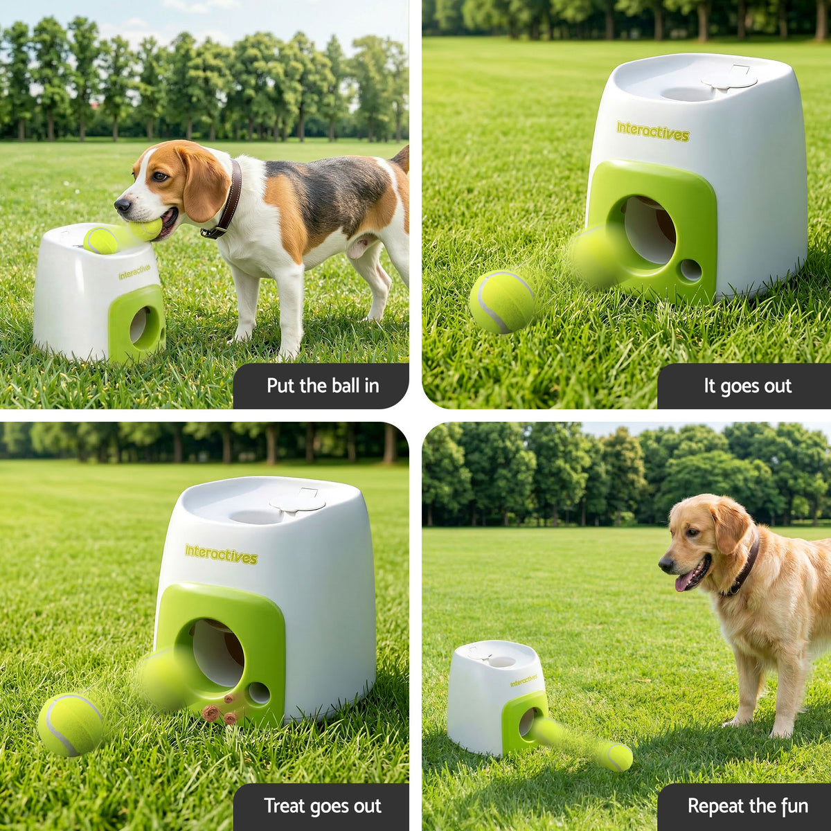Beagle and golden retriever playing with the Dog Ball Launcher on the lawn