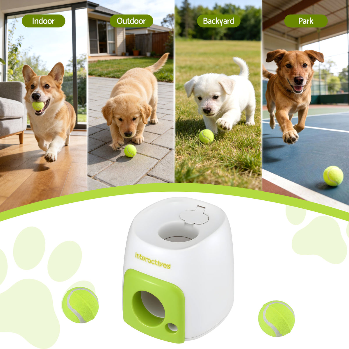 Dogs using the Dog Ball Launcher indoors, outdoors, in the backyard and at the park
