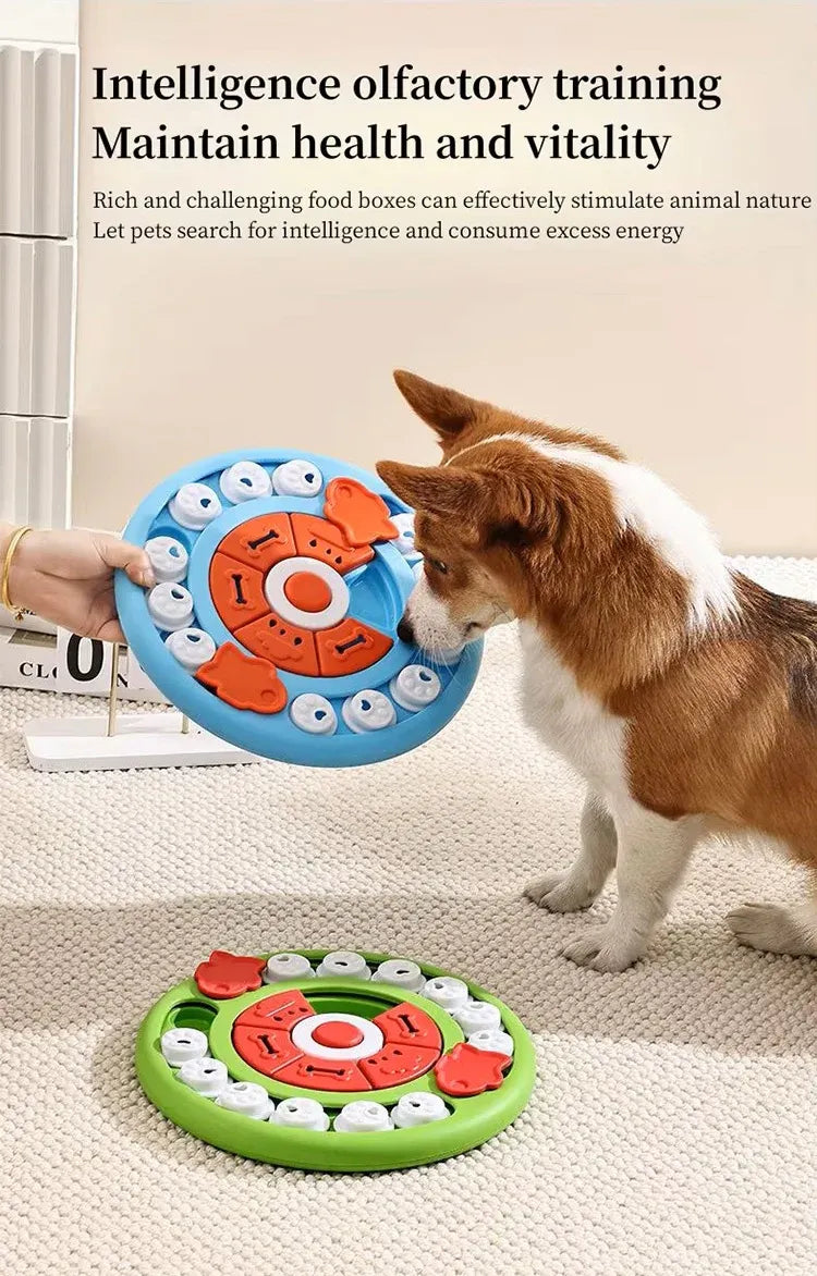 Corgi sniffing the blue Pizza Puzzle, with a green Pizza Puzzle on the floor