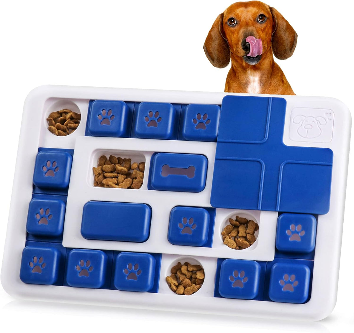 Dachshund peeking over the blue and white Puzzle Feeder with treats in the wells