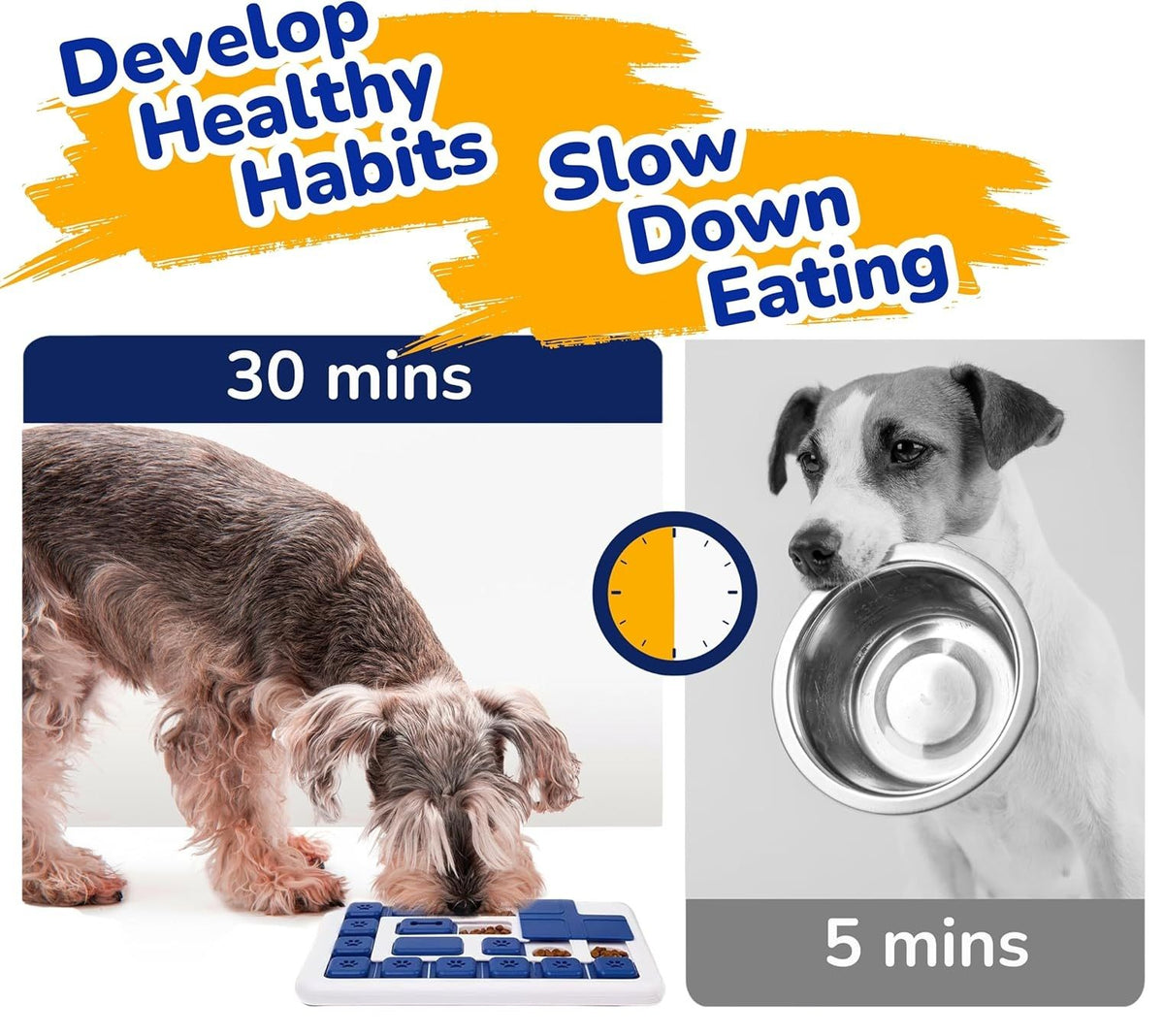 Puzzle Feeder slows mealtime compared with a regular dog bowl