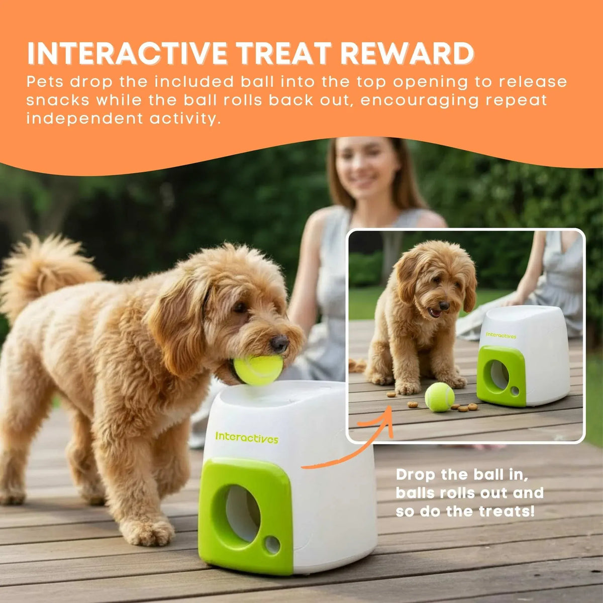 Curly dog carrying a ball to drop into the AFP Treat Reward puzzle to earn a snack