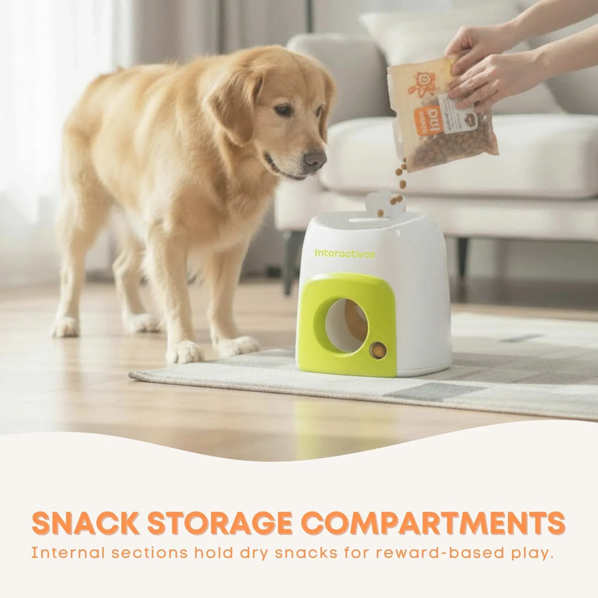 Golden retriever waiting while treats are poured into the AFP Treat Reward dispenser