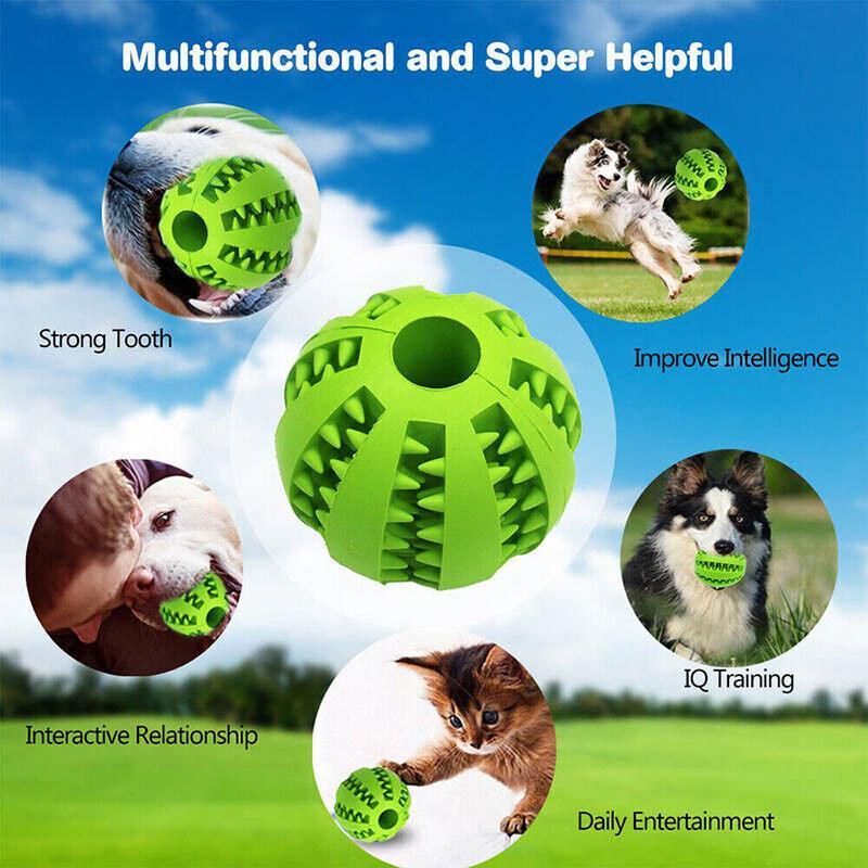 Rubber Treat Ball with dogs and a cat playing, chewing and training