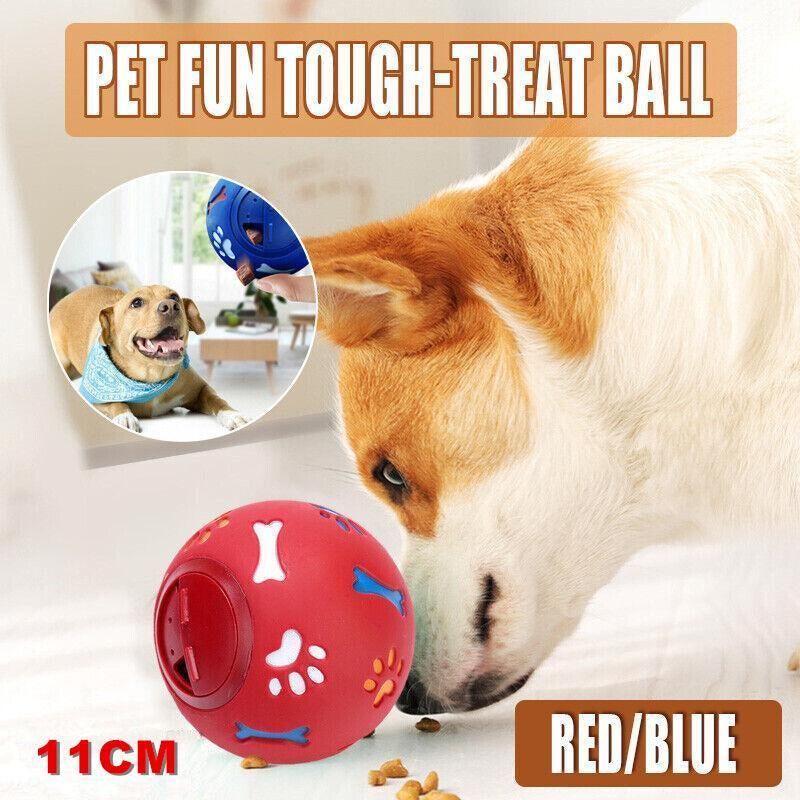 Dog sniffing kibble from the red 11cm Treat Tumbler Ball