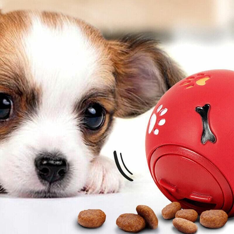 Puppy resting beside a red Treat Tumbler Ball with kibble on the floor