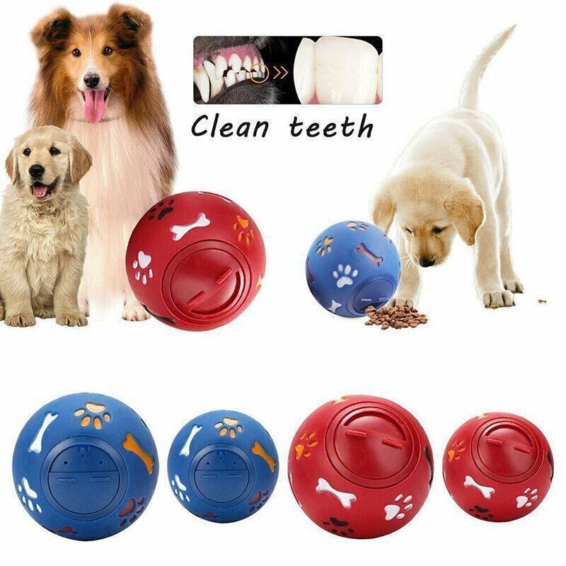 Dogs and puppies playing with red and blue Treat Tumbler Balls